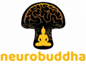 Neurobuddha logo